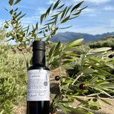 Alta Gama Best Drinking Extra Virgin Olive Oil Dominus Acebuche, Polyphenol Rich Spanish Extra Virgin Olive Oil, Imported from Spain, Organic, Wild Olives, Acebuchina Variety, Cold Pressed, High in Polyphenol, 1,350 PPM, 250 ml