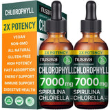 (2 Pack) Vegan Chlorophyll Liquid Drops 7000mg for Immune Support, Energy, Gut & Skin Health, 4-in-1 Liquid Chlorophyll Drops - 100mg, Spirulina, Chlorella, & Copper - Internal Deodorant, 4 Fl Oz