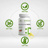 Berberine Max Supplement, 5,000mg Per Serving, 240 Veggie Capsules – 97% Pure Berberine HCL – 25:1 Root Extract – Vegetarian Friendly, Non-GMO