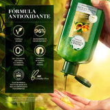 HERBAL ESSENCES Bio:Renew, Shampoo sin sulfatos ni parabenos para cabello seco, maltratado y/o rizado Nutre e Hidrata Pequi & Aguacate 400 ml