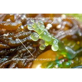 Okinawa Mozuku Live Fucoidan 45000mg