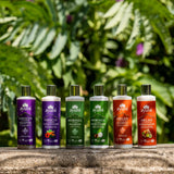 Ayumi Hibiscuss & Turmeric Shampoo Vegan Cruelty-Free Dermatologically Tested 1 x 250ml