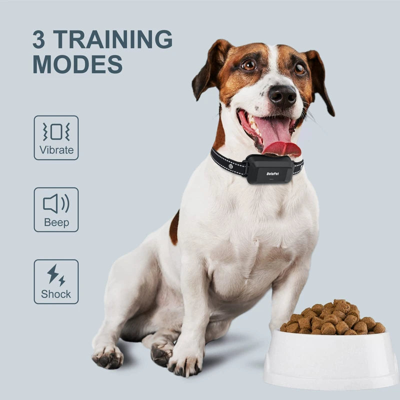 Bird Swings Dog Shock Collar with Remote, Bird Parakeet Toys