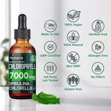 (2 Pack) Vegan Chlorophyll Liquid Drops 7000mg for Immune Support, Energy, Gut & Skin Health, 4-in-1 Liquid Chlorophyll Drops - 100mg, Spirulina, Chlorella, & Copper - Internal Deodorant, 4 Fl Oz