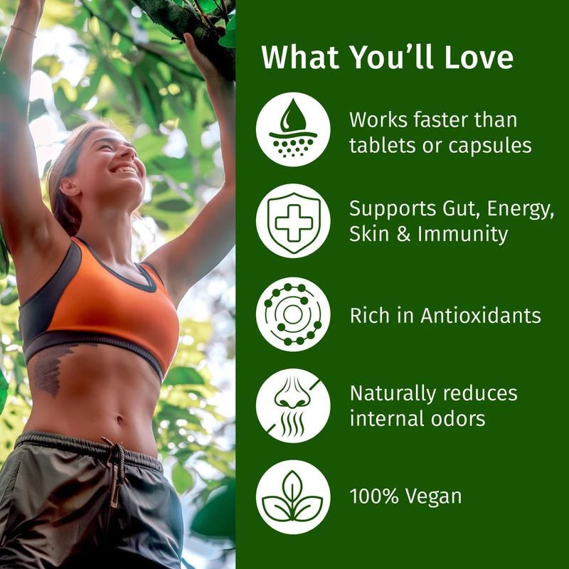 (2-Pack) Vegan Liquid Chlorophyll Drops 7000mg – Natural Supplement for Immune Support, Energy, Digestion, Detox & Skin Health, Mint Flavor