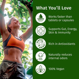 (2-Pack) Vegan Liquid Chlorophyll Drops 7000mg – Natural Supplement for Immune Support, Energy, Digestion, Detox & Skin Health, Mint Flavor