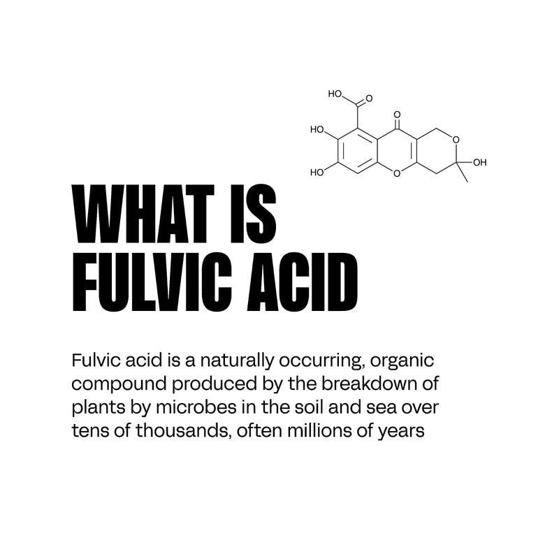 blk. Natural Alkaline Mineral Water Electrolyte Infused with Fulvic and Amino Acids, Zero Sugar Drink, Strawberry Rhubarb Flavored, 1 Liter, Pack of 12