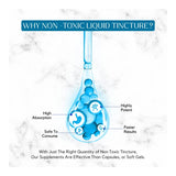 Absonutrix Serrapeptase Enzyme 583mg,125000 spu, 4 Oz drops, 200 Servings, Made in USA, Quick Absorption, Quality Ingredients, Third-Party Tested, Non-GMO, GMP Certified, Cruelty Free Products