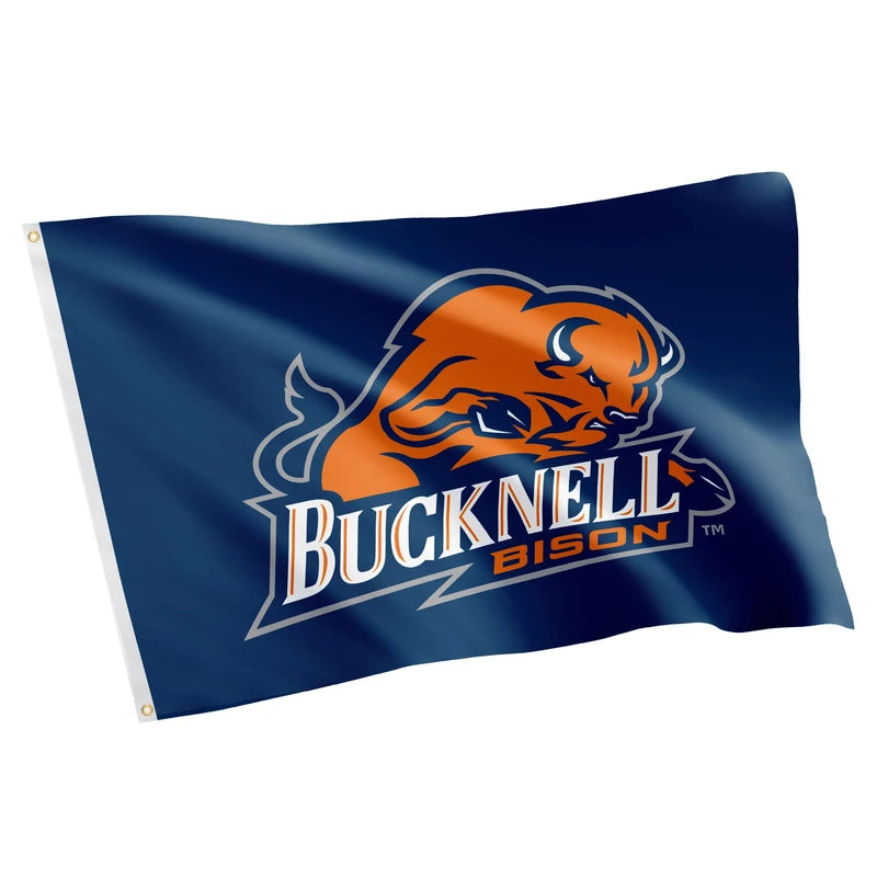 Desert Cactus Bucknell University Flag Bison Banners 100% Polyester Indoor Outdoor 3x5 feet Flags (Style 1)